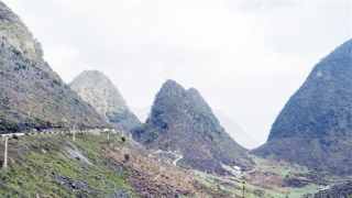 Sống ở miền đá xám