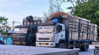 Tiếp tục làm rõ, xử lý vụ việc người dân và Báo CAND phản ánh