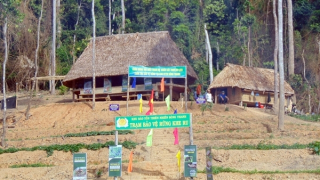 Vi phạm hồ sơ dự thầu, một doanh nghiệp bị cấm đấu thầu 5 năm