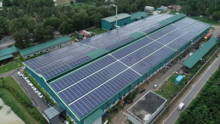 Tháo gỡ khó khăn về PCCC cho cơ sở kinh doanh xăng dầu và sử dụng điện mặt trời