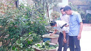 Cảnh báo bệnh truyền nhiễm gia tăng do hiện tượng El Nino