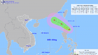 Cảnh báo thời tiết nguy hiểm trên biển do áp thấp nhiệt đới