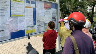 Thị trường lao động cuối năm chiếm hơn 64%  ở khu vực thương mại - dịch vụ