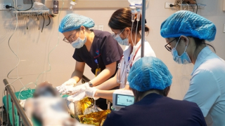 Cần câu vướng dây cao thế, thiếu niên 13 tuổi bị điện giật nguy kịch