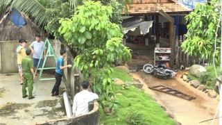 Thoát khỏi lò mổ, trâu đực húc bị thương 5 người