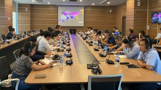 Ngăn chặn trên 800 website vi phạm bản quyền