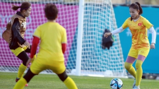 New Zealand bố trí cảnh sát chuyên trách bảo vệ ĐT nữ Việt Nam