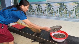 Cuộc sống người dân bị đảo lộn vì ruồi “tấn công”