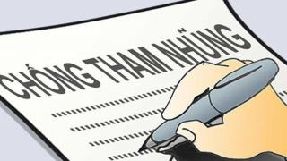 Thanh tra TP Hồ Chí Minh phát hiện 9 vụ tham nhũng với 27 người