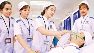 Công bố điểm sàn xét tuyển nhóm ngành sức khoẻ và đào tạo giáo viên