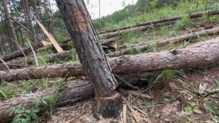 Chủ tịch xã thứ 3 ở Lâm Đồng bị tạm đình chỉ công tác