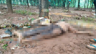 Một người bị lũ cuốn trôi khi đi qua cầu lúc nước dâng cao