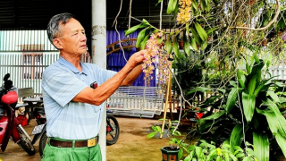 “Gánh theo tên xã, tên làng trong mỗi chuyến di dân…”