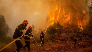Cháy rừng kinh hoàng ở Algeria, nhiều lính cứu hoả và dân thường thiệt mạng