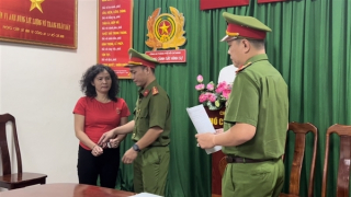 Đặng Thị Hàn Ni và Trần Văn Sỹ đã đăng tải những thông tin xúc phạm vợ chồng Nguyễn Phương Hằng