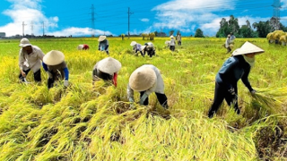 Bắc Bộ nắng chói chang, trời oi bức