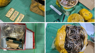 Bắt vụ nhập lậu 19kg nghi vàng từ Campuchia về Việt Nam