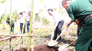 Cung tiến giống tre bên Lăng Chủ tịch Hồ Chí Minh trồng tại Đền thờ Vua Hùng Cần Thơ