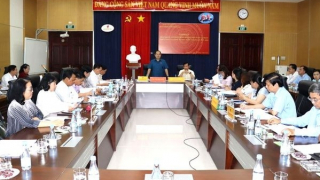 Thu hồi một phần đất tại dự án 2.200 ha của Dofico