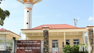 Vi phạm đấu thầu, cựu Trưởng phòng và Giám đốc doanh nghiệp bị khởi tố