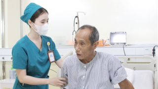 Cứu sống người đàn ông U70 ở Bạc Liêu bị ong vò vẽ đốt hơn 120 vết