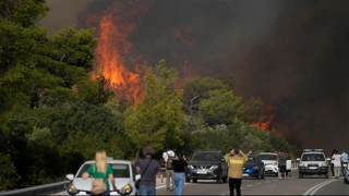 Nắng nóng kỷ lục thiêu đốt vùng Địa Trung Hải