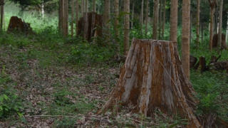 Xem xét lại hình thức kỷ luật, khai trừ đảng nguyên Giám đốc Sở NN&PTNT Lâm Đồng