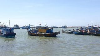 Tích cực tìm kiếm một ngư dân rơi xuống biển, mất tích