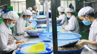 Chủ động xây dựng vùng nguyên liệu để tránh bị động khi nhập khẩu