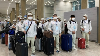 Hết tháng 7, có hơn 85 nghìn lao động ra nước ngoài làm việc