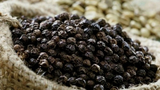 Thủ tướng chỉ đạo hỗ trợ doanh nghiệp nghi bị lừa đảo tại UAE