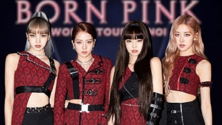 Từ bản quyền nhìn lại chuyện cấp phép