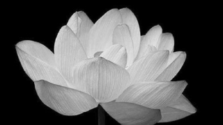 Đại tá Nguyễn Hồng Thanh từ trần