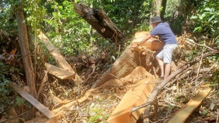 Kỳ 2: Cuộc chiến không cân sức