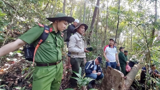 Kỳ 3: Vì màu xanh của rừng, máu chiến sĩ Công an đã đổ