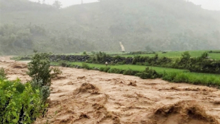 Mưa lũ gây thiệt hại nặng ở các tỉnh miền núi phía Bắc