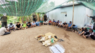 Bắt quả tang 18 đối tượng đá gà ăn tiền