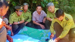 Kỳ cuối: Để "lá phổi" thêm xanh