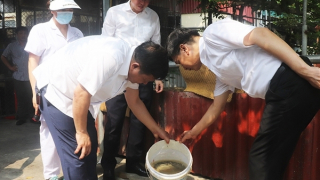 Hà Nội: Gần 500 ca sốt xuất huyết mỗi tuần; chỉ số muỗi, bọ gậy ở ngưỡng cao