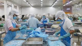 Thương mại song phương Việt Nam - Campuchia đạt hơn 4,5 tỷ USD