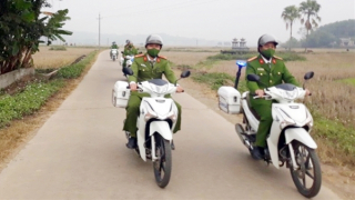 Bình yên ở Phục Linh