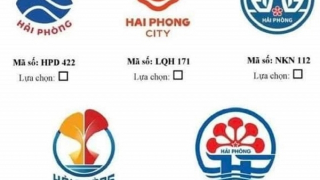 Thực hư thông tin tác phẩm dự thi biểu tượng Hải Phòng bị “nhái”
