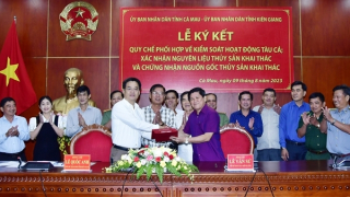 Tăng cường trách nhiệm trong khai thác hải sản theo IUU