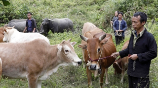 Hội thảo khoa học “Tín dụng chính sách xã hội với vấn đề thực hiện và bảo đảm an sinh xã hội”
