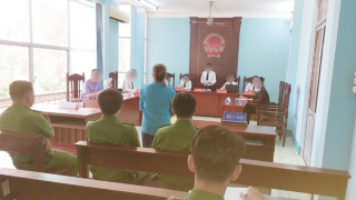 Phạt 23 năm tù người đàn bà xâm hại tình dục 3 trẻ em