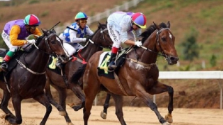 Nhiều vi phạm về đất đai, xây dựng tại Trường Đua thiên mã Mađaguôi