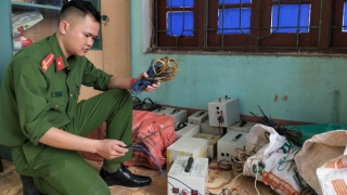 Mầm họa từ việc dùng kích điện bắt giun đất