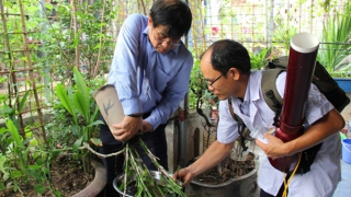 Hà Nội thêm 59 ổ sốt xuất huyết trong một tuần, nguy cơ bùng phát thành dịch