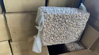 Tạm giữ lô hàng nhập khẩu gần 100 tấn hạt điều không đúng khai báo