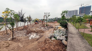 Nhức nhối tình trạng vi phạm đê điều ở Hải Phòng